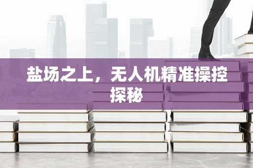 盐场之上，无人机精准操控探秘