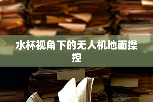 水杯视角下的无人机地面操控