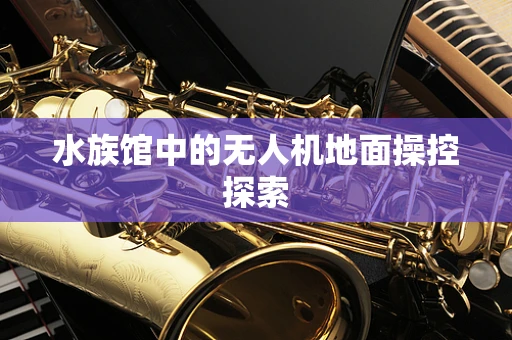 水族馆中的无人机地面操控探索