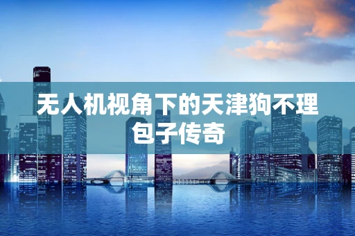 无人机视角下的天津狗不理包子传奇