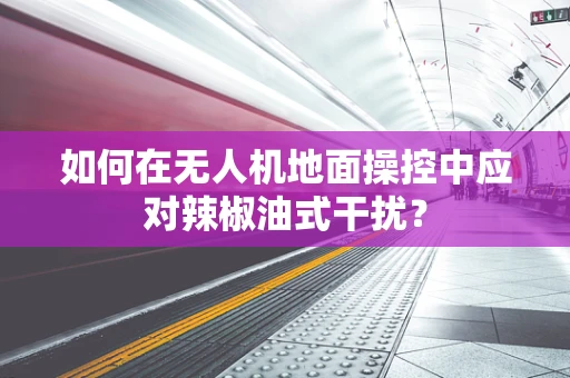 如何在无人机地面操控中应对辣椒油式干扰？