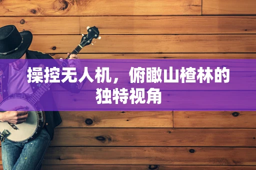 操控无人机，俯瞰山楂林的独特视角