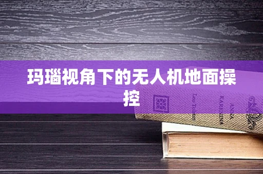 玛瑙视角下的无人机地面操控