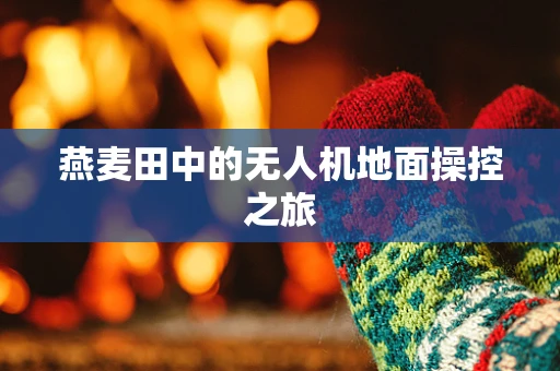 燕麦田中的无人机地面操控之旅
