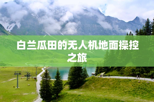 白兰瓜田的无人机地面操控之旅
