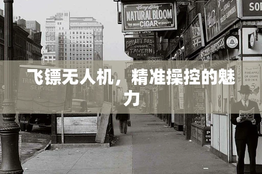 飞镖无人机，精准操控的魅力