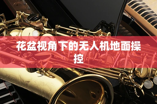 花盆视角下的无人机地面操控