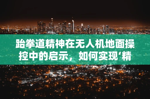 跆拳道精神在无人机地面操控中的启示，如何实现‘精准打击’与‘速度与力量的平衡’？