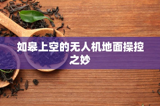 如皋上空的无人机地面操控之妙