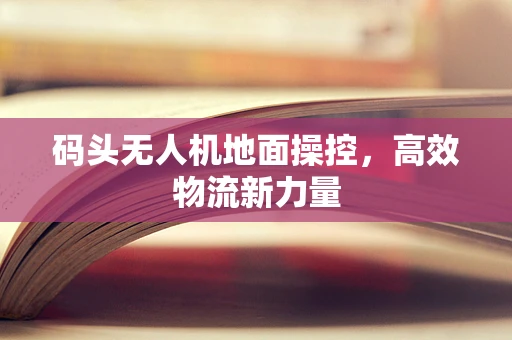 码头无人机地面操控，高效物流新力量
