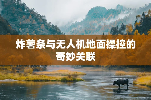 炸薯条与无人机地面操控的奇妙关联