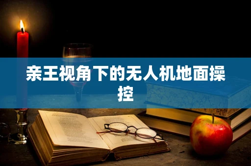 亲王视角下的无人机地面操控