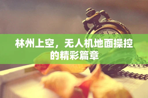 林州上空，无人机地面操控的精彩篇章