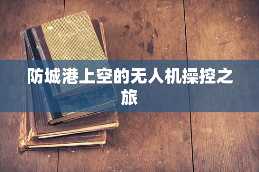 防城港上空的无人机操控之旅