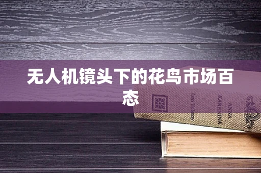 无人机镜头下的花鸟市场百态