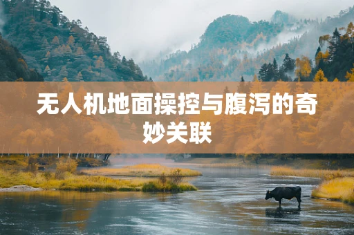 无人机地面操控与腹泻的奇妙关联