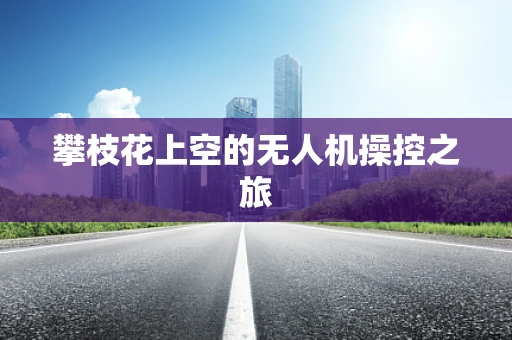 攀枝花上空的无人机操控之旅