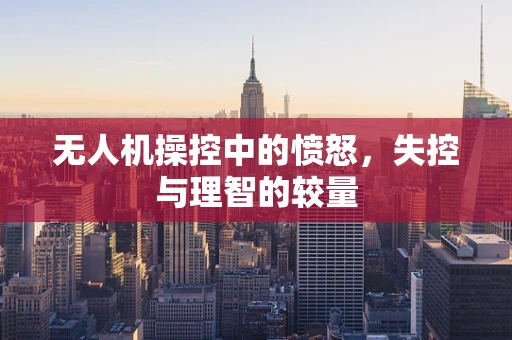 无人机操控中的愤怒，失控与理智的较量