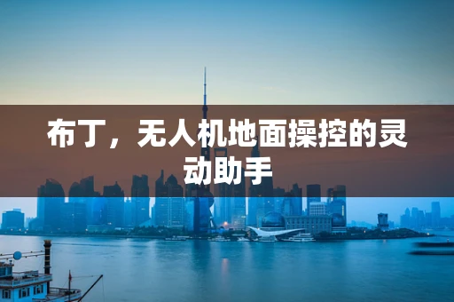 布丁，无人机地面操控的灵动助手