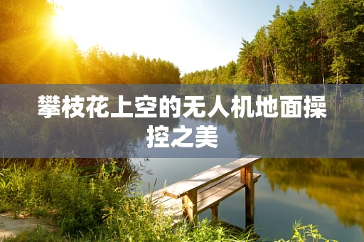 攀枝花上空的无人机地面操控之美