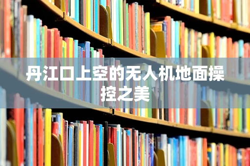 丹江口上空的无人机地面操控之美