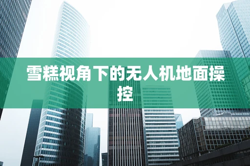 雪糕视角下的无人机地面操控