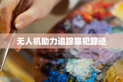 无人机助力追踪罪犯踪迹