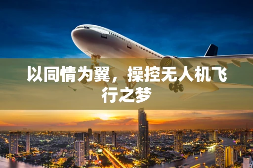 以同情为翼，操控无人机飞行之梦