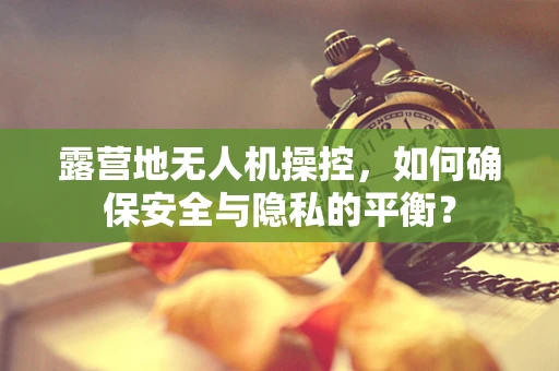 露营地无人机操控，如何确保安全与隐私的平衡？