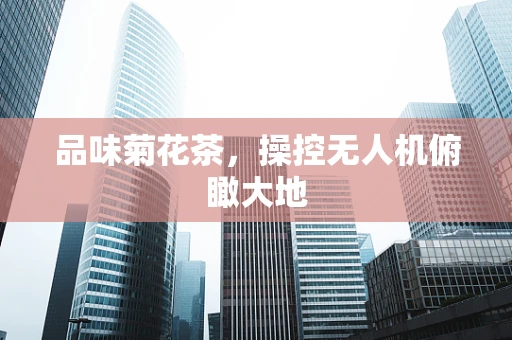 品味菊花茶，操控无人机俯瞰大地