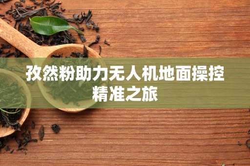 孜然粉助力无人机地面操控精准之旅