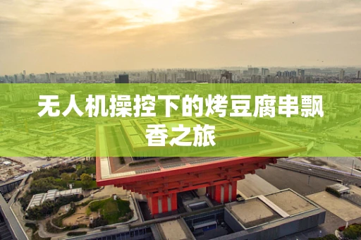 无人机操控下的烤豆腐串飘香之旅
