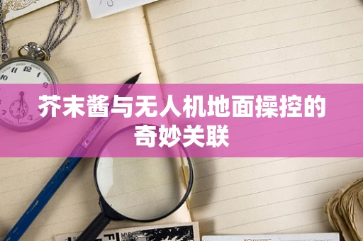 芥末酱与无人机地面操控的奇妙关联