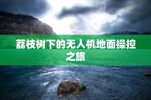 荔枝树下的无人机地面操控之旅