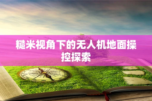糙米视角下的无人机地面操控探索