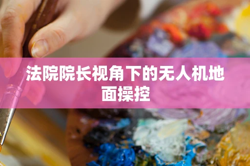 法院院长视角下的无人机地面操控
