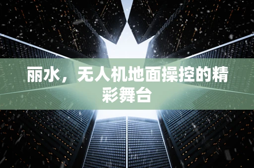 丽水，无人机地面操控的精彩舞台