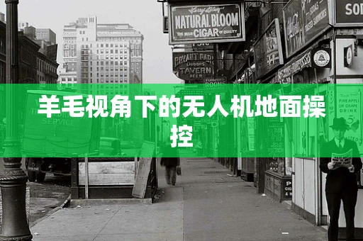 羊毛视角下的无人机地面操控