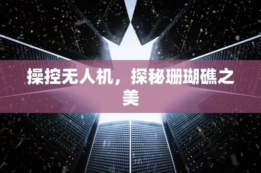 操控无人机，探秘珊瑚礁之美