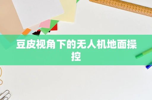豆皮视角下的无人机地面操控