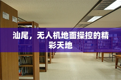 汕尾，无人机地面操控的精彩天地