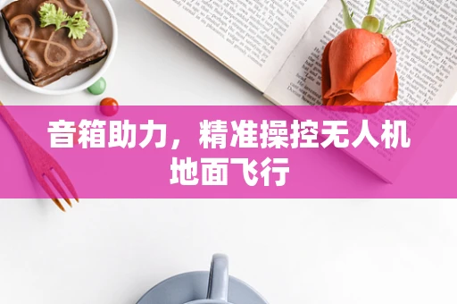 音箱助力，精准操控无人机地面飞行