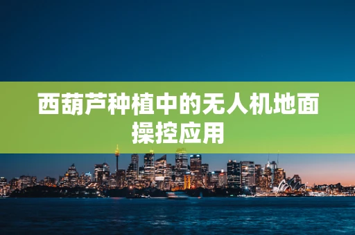 西葫芦种植中的无人机地面操控应用