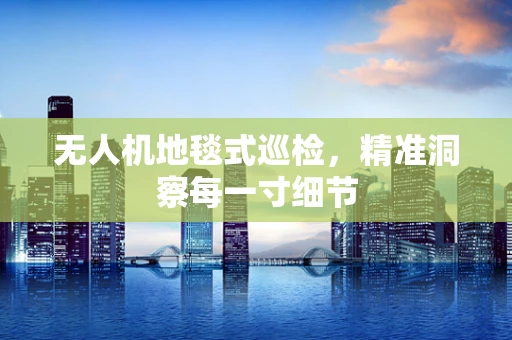 无人机地毯式巡检，精准洞察每一寸细节