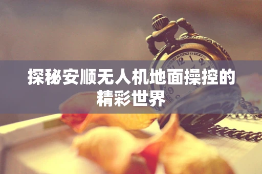 探秘安顺无人机地面操控的精彩世界