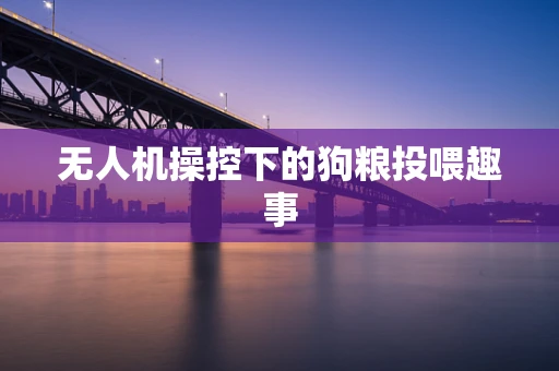 无人机操控下的狗粮投喂趣事