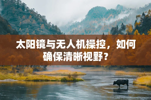 太阳镜与无人机操控，如何确保清晰视野？