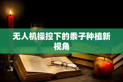 无人机操控下的黍子种植新视角