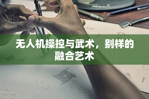 无人机操控与武术，别样的融合艺术
