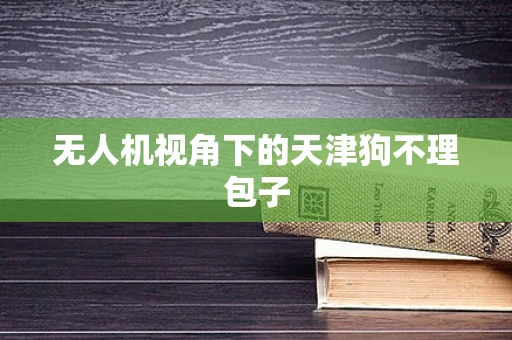 无人机视角下的天津狗不理包子